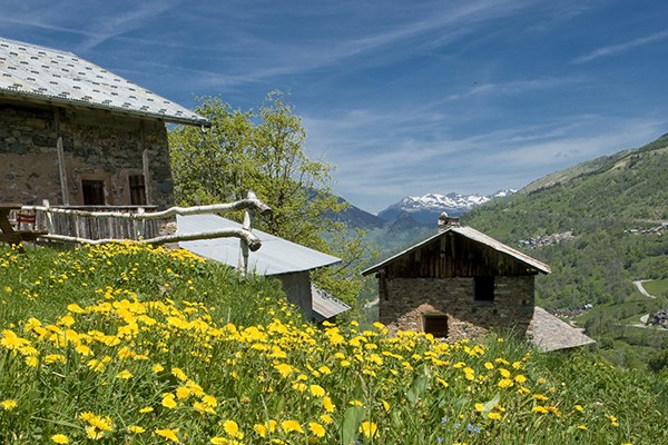 AIDA lachat - Lansard (c) Saint-Martin-de-Belleville.jpg