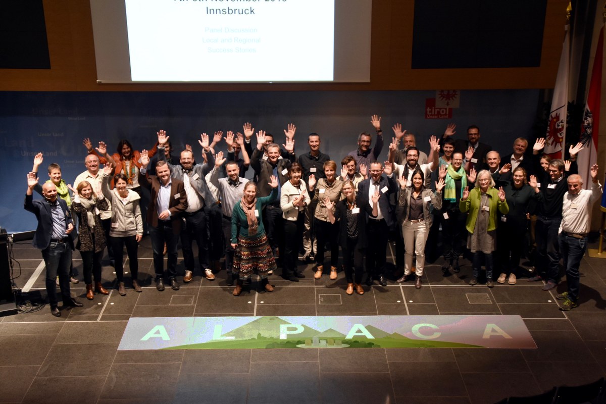 ALPACA(c)CarolineBegle - 2.jpg