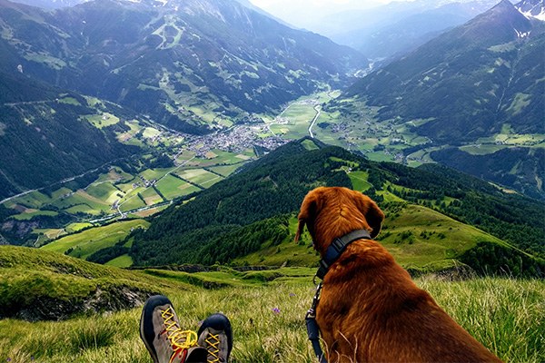 Alpenkarte_(c)Magdalena Holzer_600x400.jpg