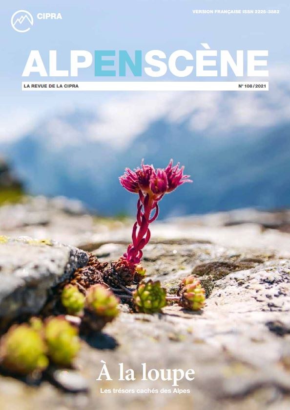 Alpenscene108.JPG