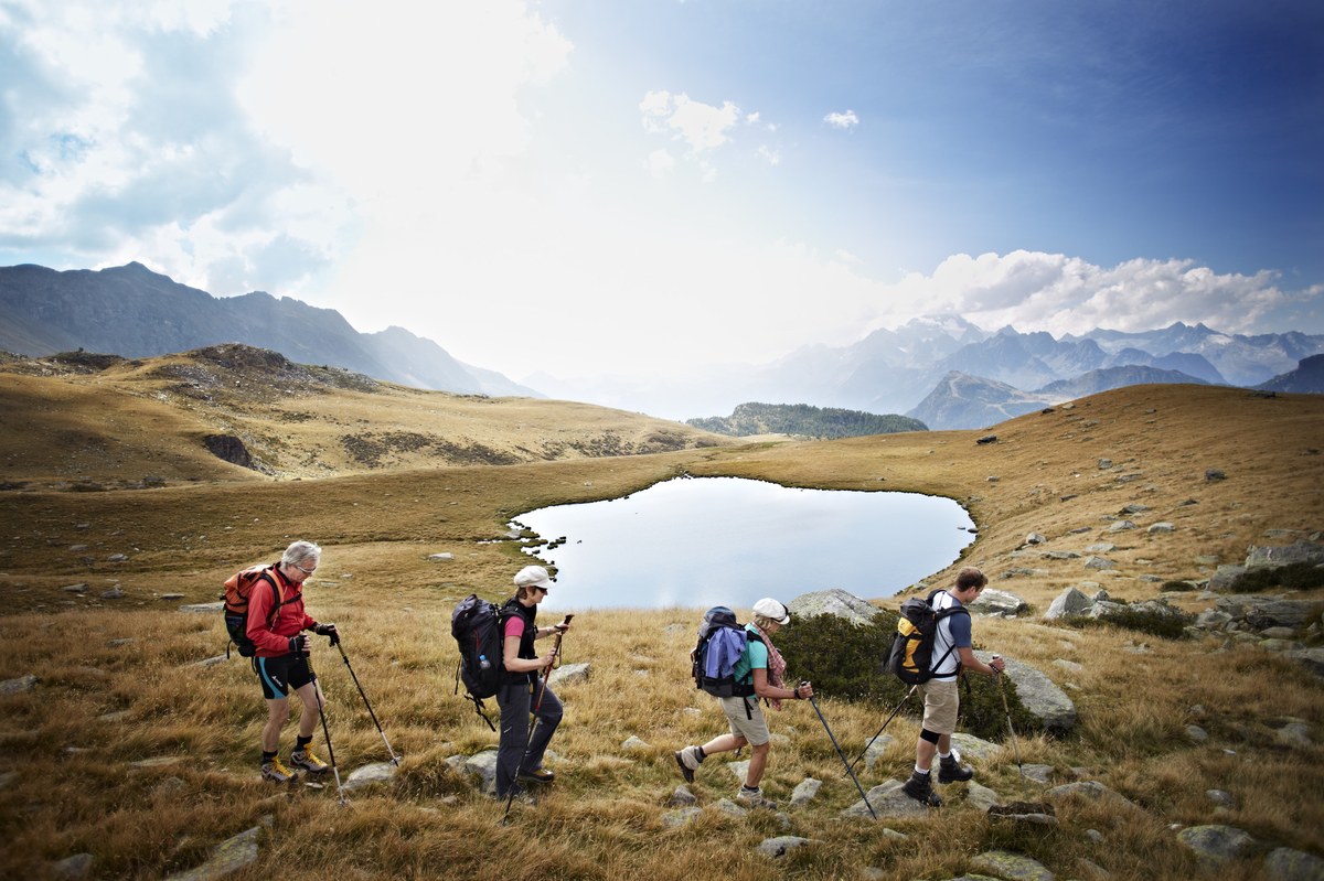 Alpine Power(c)HeinzHeissZeitenspiegel.jpg