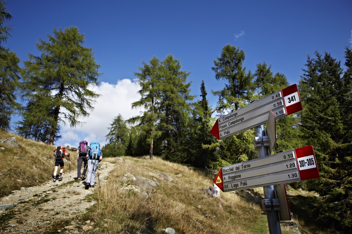 AlpinePower (c)HeinzHeiss (7).jpg