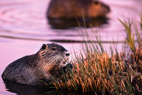 an der alb in karlsruhe (c) bilderheld.flickr.jpg