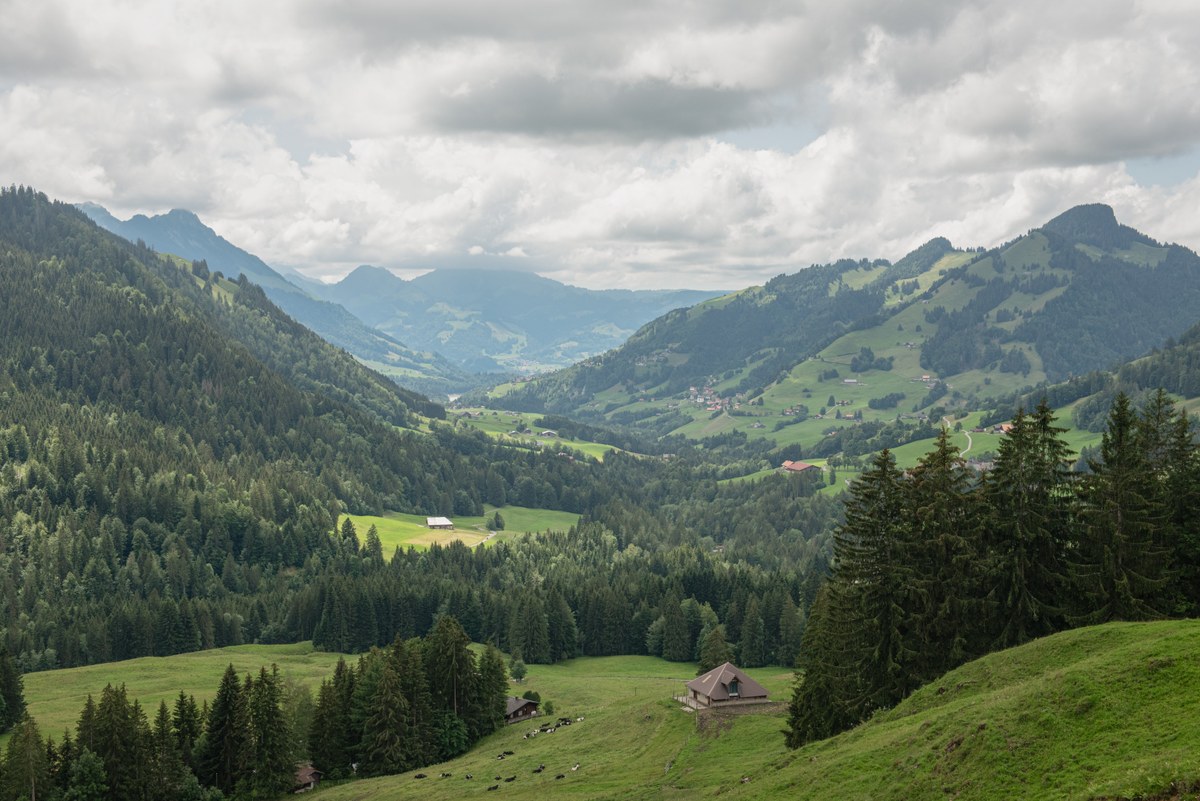 Bild Vernehmlassung CIPRA Schweiz Copryright Manuel Herrmann.jpg