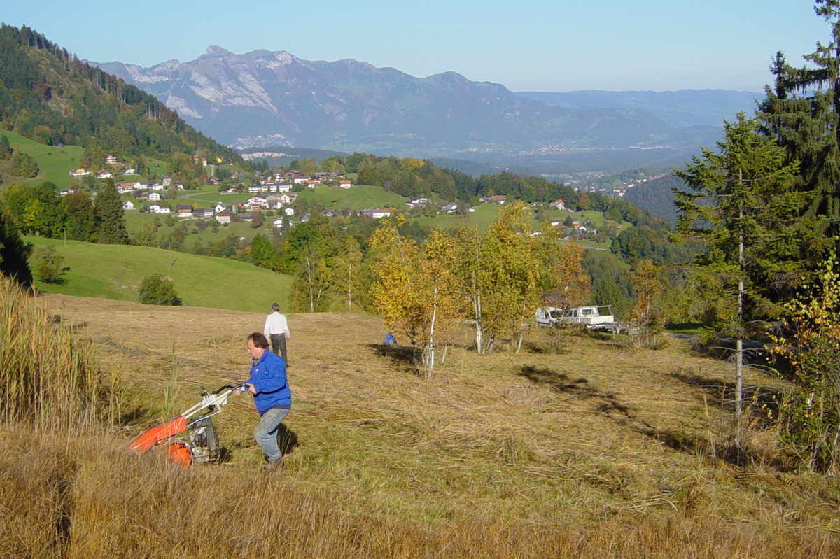 DE_26_Biodiversität Commons_c Markus Burtscher_web.png