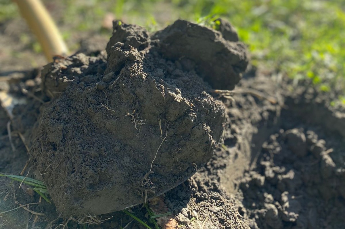 IT_25_Boden (c) CIPRA International web.jpg