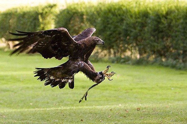 Brian Scott_flickr CC BY-NC-ND 2.0.jpg