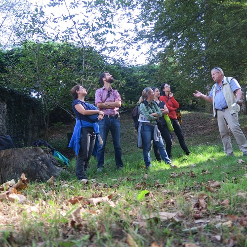 (c)AquilinoChinazzi (38)