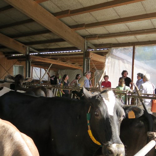 (c)AquilinoChinazzi (50)