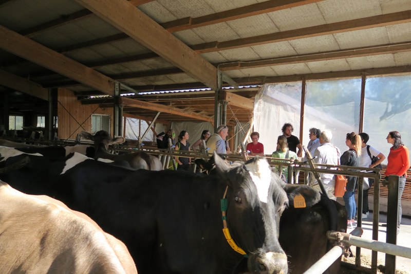 (c)AquilinoChinazzi (50)