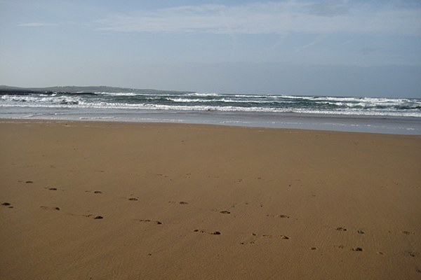 (c) Christophe Gue_flickr.jpg