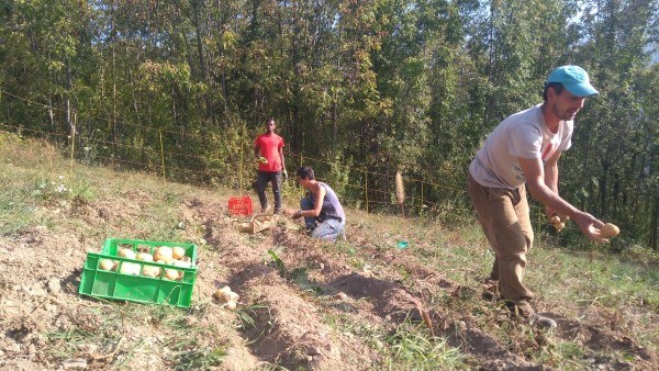 (c)Germinale Agricoltura Comunitaria (2).jpg