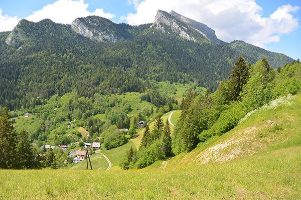 (c) Inès Hubert.JPG