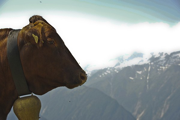 (c) Joerg Trampert pixelio.de.jpg