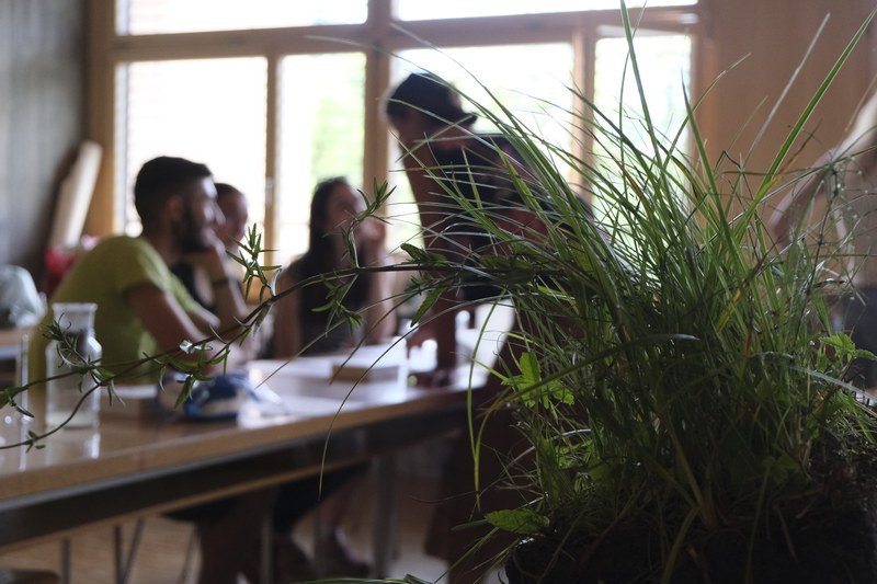 c Kristina Bogner (6)