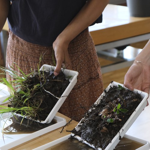 c Kristina Bogner (8)