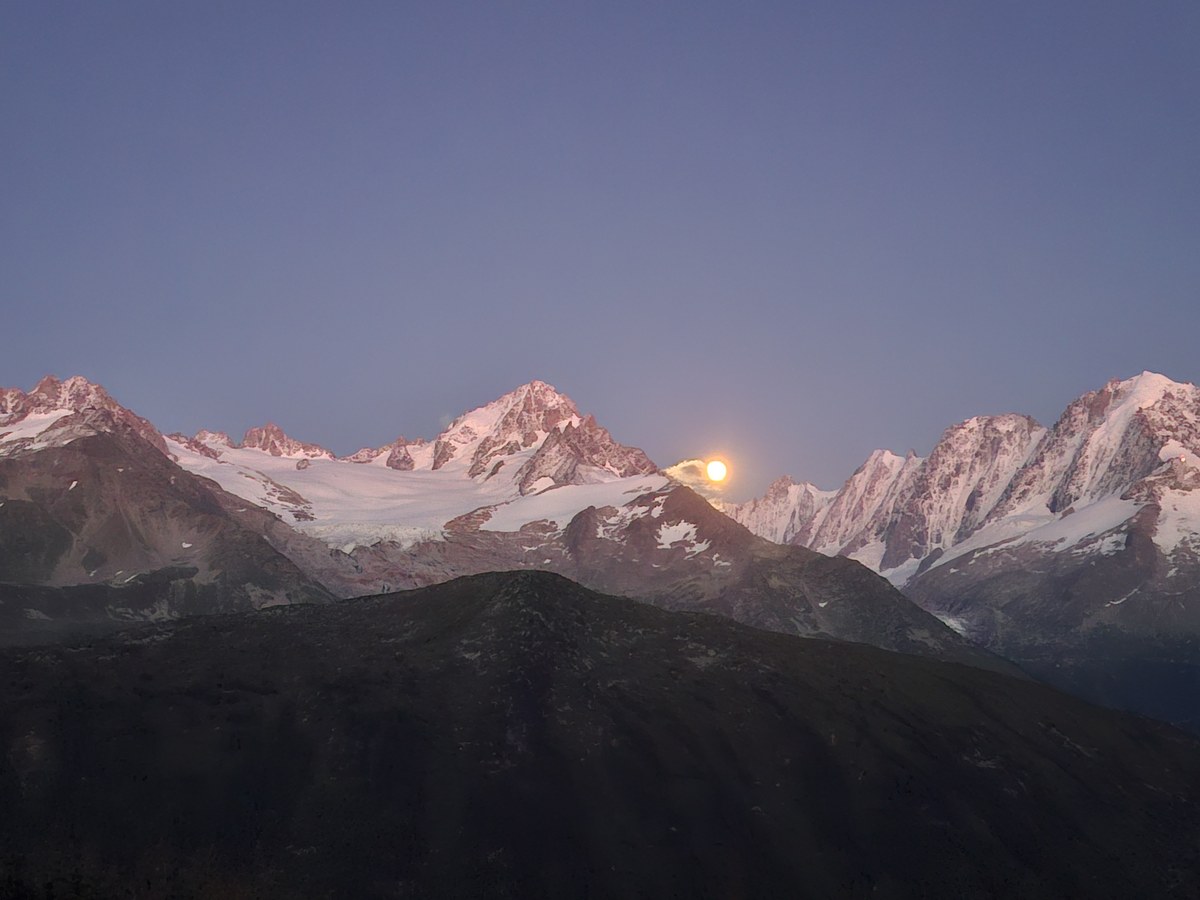 ©Marjeta Čic 2025  (408).jpg