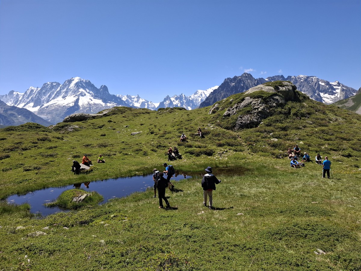 ©Marjeta Čic 2025  (484).jpg