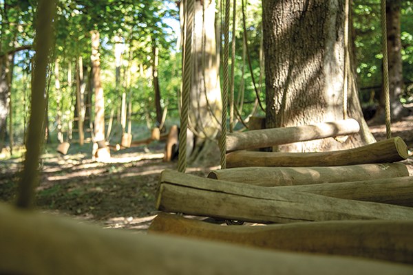 (c) Martina Waldner_600x400.jpg