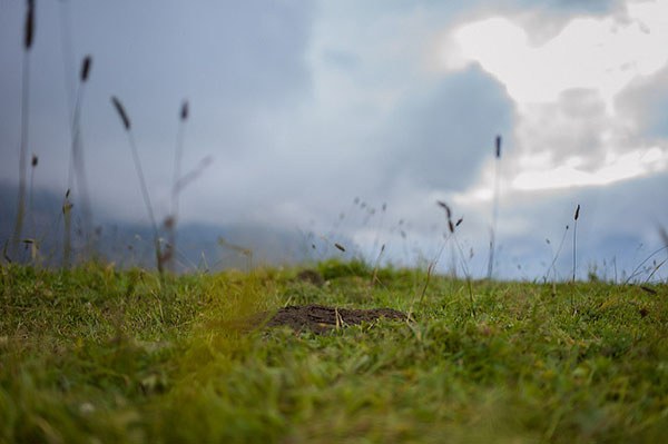 (c) mompl_flickr.jpg