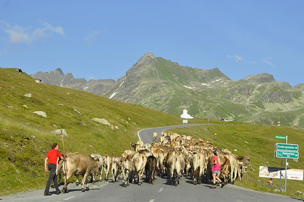 (c) Pim Stouten_flickr.jpg