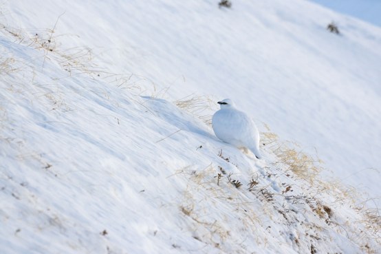 © Radames Bionda.jpeg