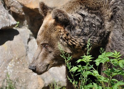 (c) Ruth Rudolph pixelio.de www.pixelio.de media 597440.jpg