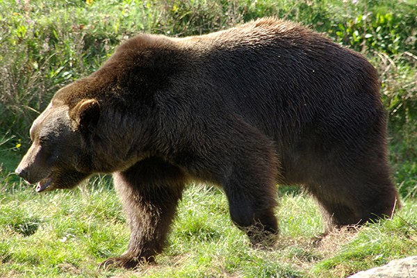 (c) Stephanie Kroos_flickr.jpg