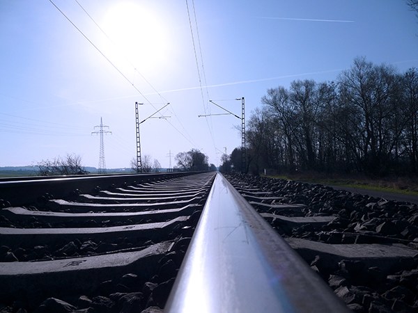 (c) Viola pixelio.de.jpg