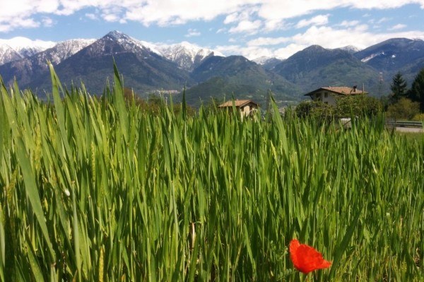 Carovana_Val camonica 2 - 600x400.jpg