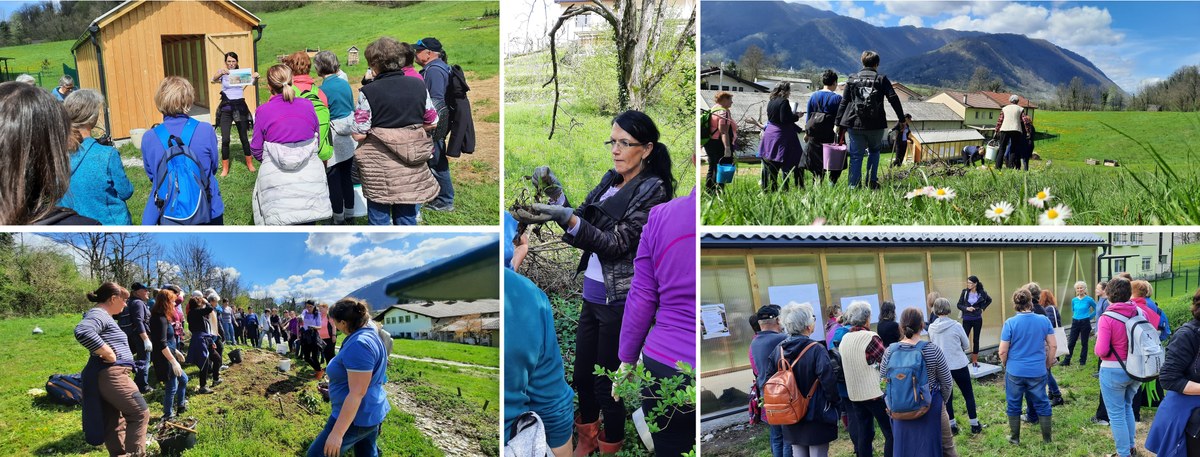 Collage_WS_Ana Vovk.jpg