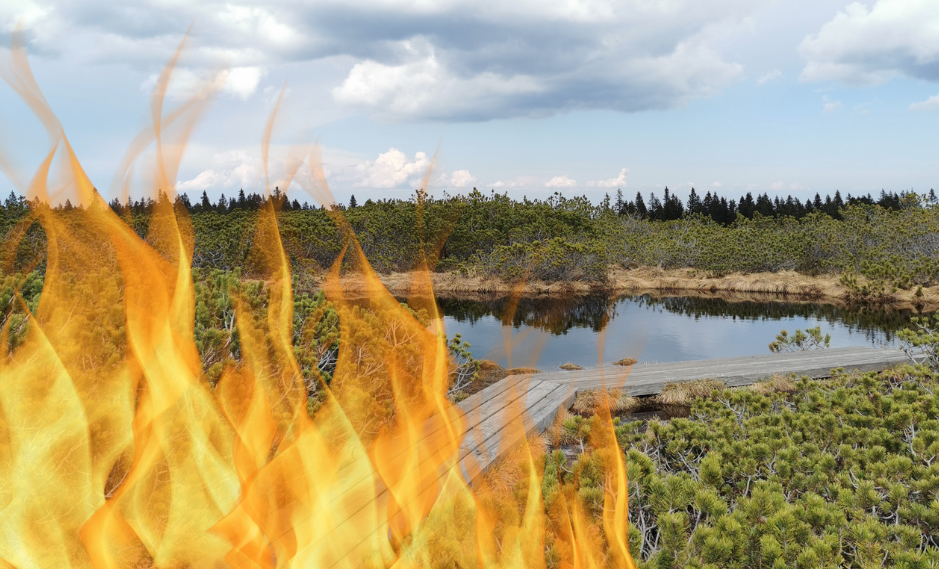 Copy of OGENJ V ALPAH.png