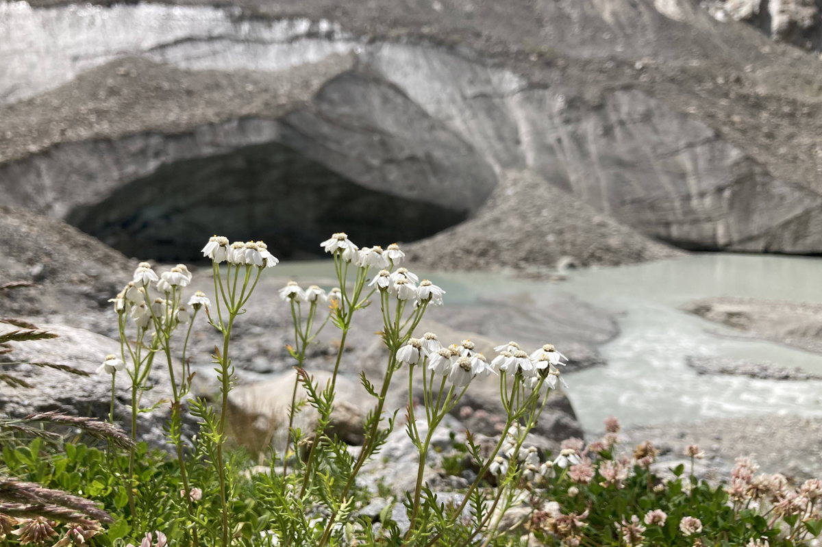 DE_Ice & Life (c) Manon Salerno.png