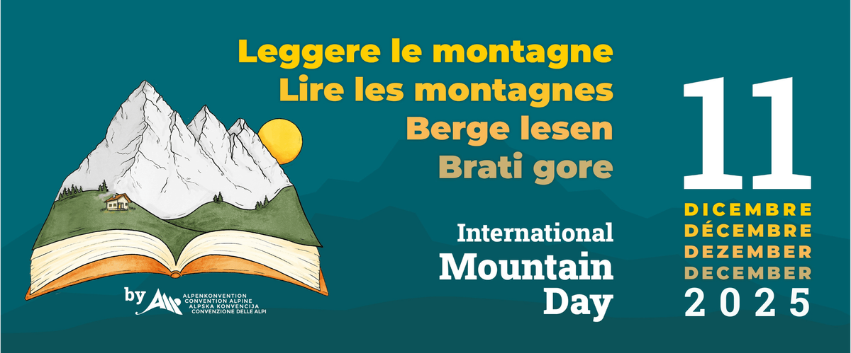 defritsl_Berge Lesen 2025_Website_banner_2025_small.png