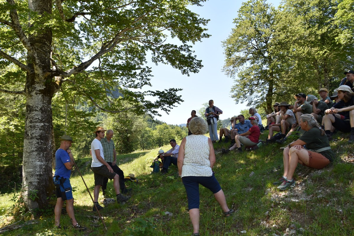 DSC_0157.JPG