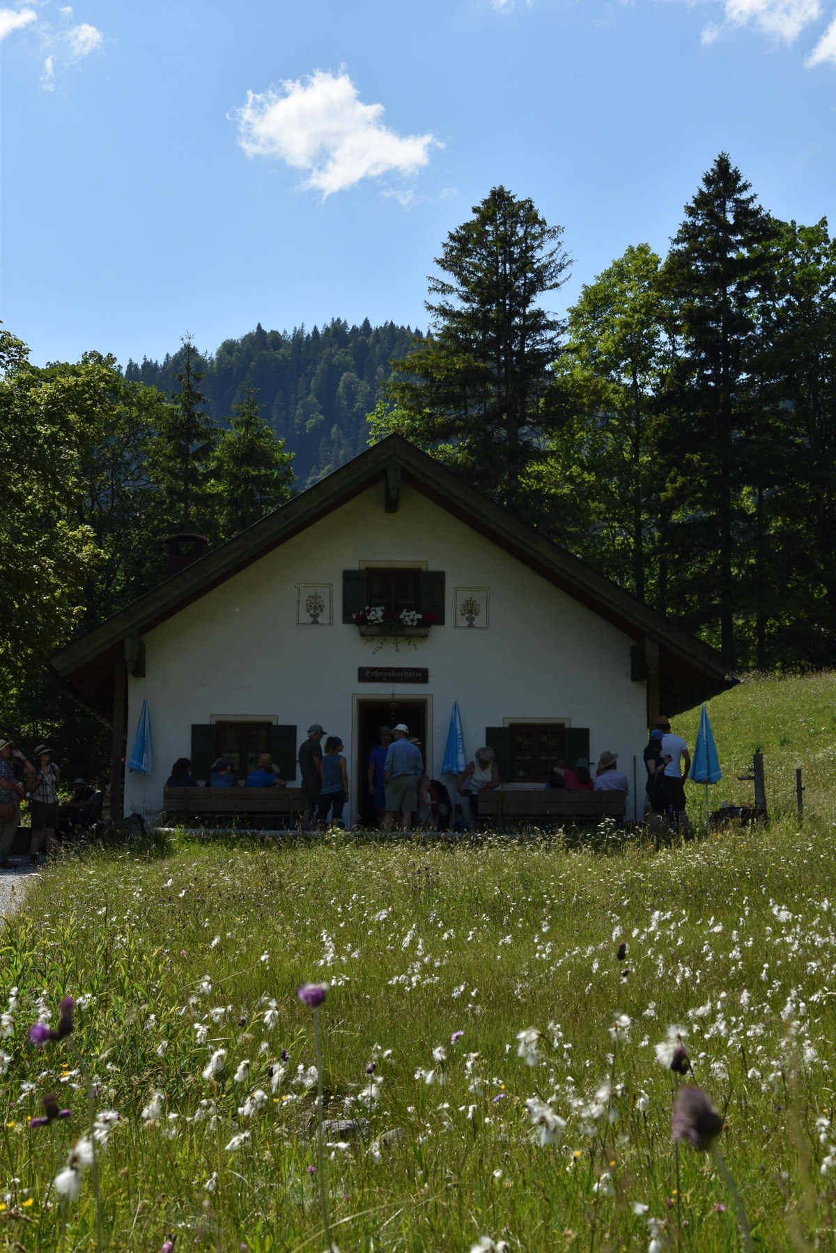 DSC_0224.JPG