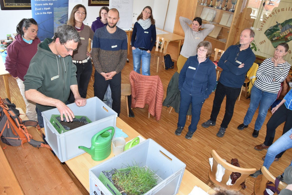 erklärung Schwammfunktion.JPG