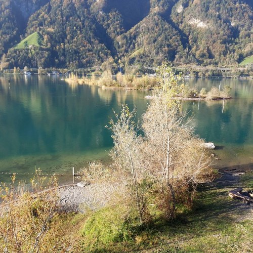 Exkursion Reussdelta (c)Hans Weber (4)