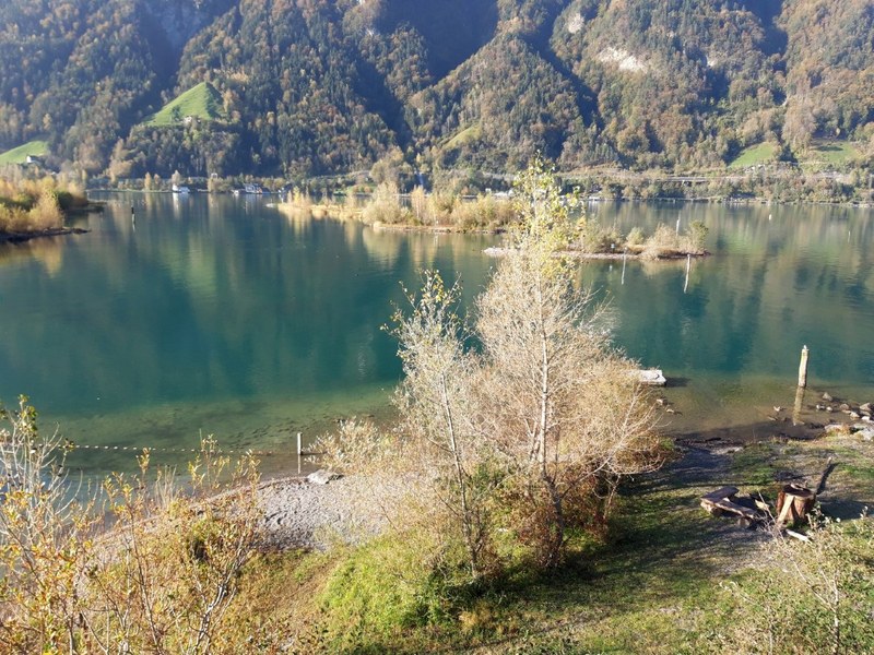 Exkursion Reussdelta (c)Hans Weber (4)