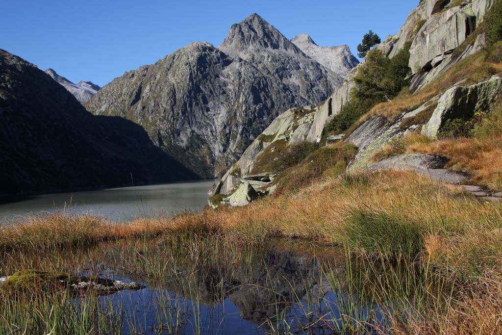 Flachmoor_(c) Grimselverein_Christoph_Hurni.jpg