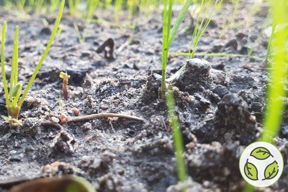 Flaechen sparen WiW 1.jpg