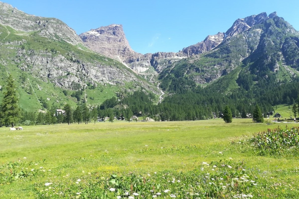 FR_2025_plateau_Alpe_Devero_Vallee_Ossola_(c) Francesco Pastorelli.jpeg