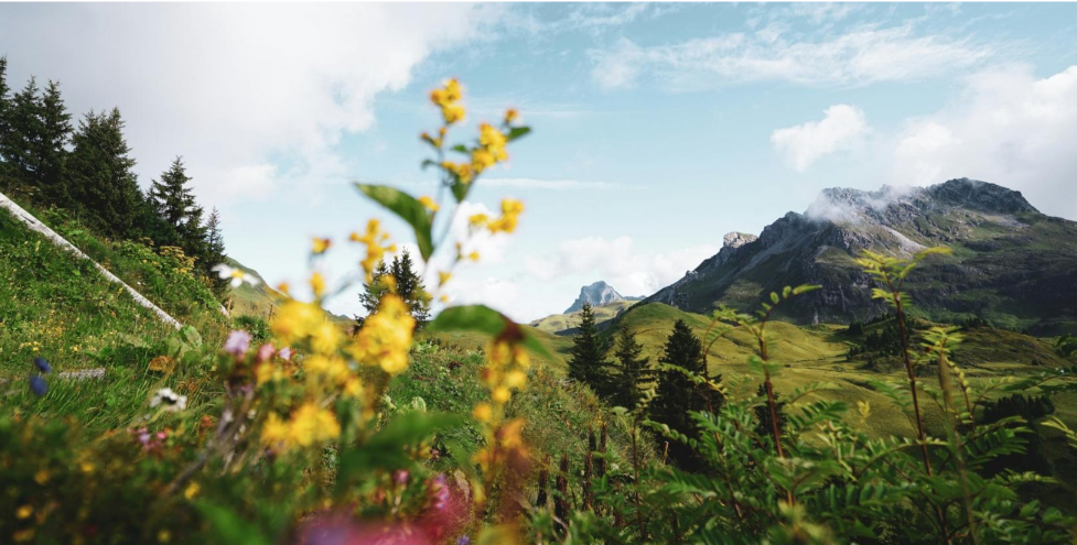 FR_Restauration_Ecologic Institute.png