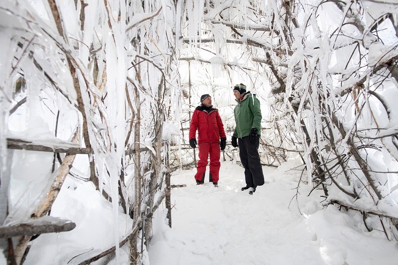 Gletschereis am Stiel (c) Mayk Wendt.jpg