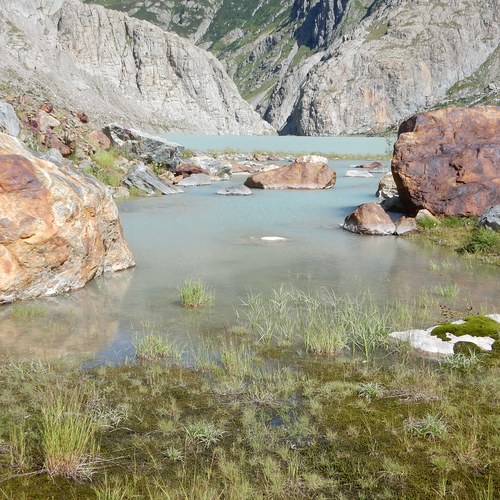 Gletschervorfeld TRift