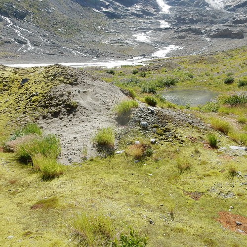 GletschervorfeldTrift