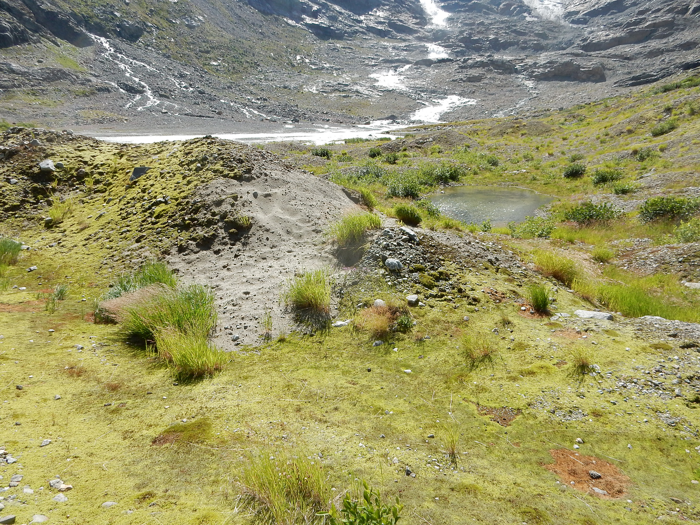 GletschervorfeldTrift