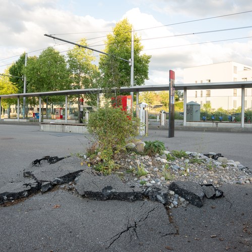Ground breaking Award Ausschreibung 3000x2000px (c) Stefanie Würsch, Binding Preis für Biodiversität 2022