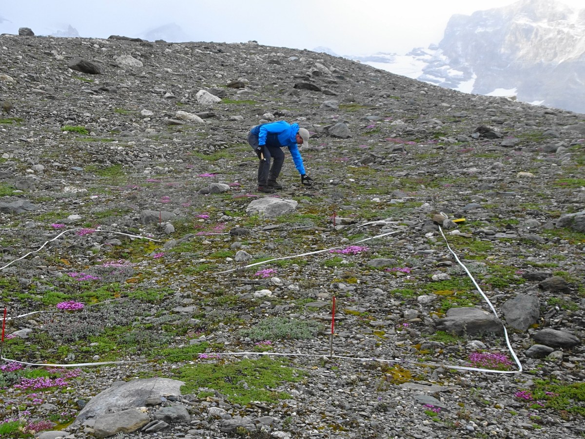 EN_Grün statt Weiss Das neue Gesicht der Gletscher - Lavassey (c) Parco Nazionale Gran Paradiso.jpg