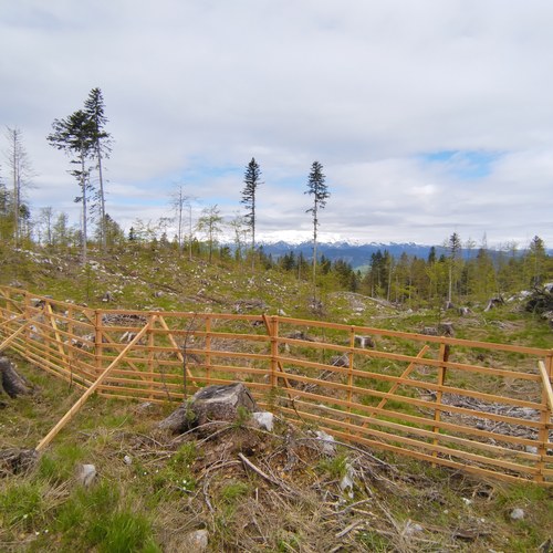 IMG 20230518 101345085